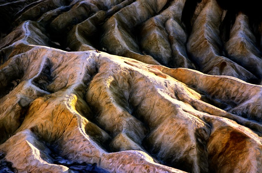 Furrowed Landscape